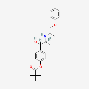 molecular formula C₂₃H₃₁NO₄ B1662741 4-[1-羟基-2-[(1-甲基-2-苯氧基乙基)氨基]丙基]苯基新戊酸酯 CAS No. 67160-74-1