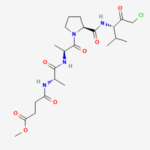 B1663094 Methoxysuccinyl-alanyl-alanyl-prolyl-valine chloromethyl ketone CAS No. 65144-34-5