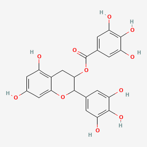 B1663873 5,7-dihydroxy-2-(3,4,5-trihydroxyphenyl)-3,4-dihydro-2H-chromen-3-yl 3,4,5-trihydroxybenzoate CAS No. 84650-60-2