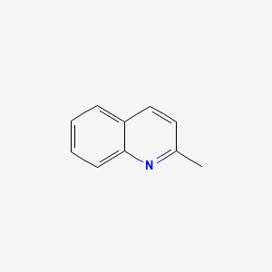 Quinaldine