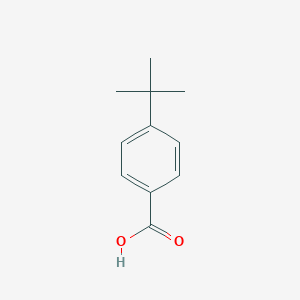 molecular formula C11H14O2 B166486 4-叔丁基苯甲酸 CAS No. 98-73-7
