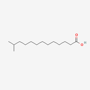 molecular formula C14H28O2 B1665282 12-甲基十三酸 CAS No. 2724-57-4