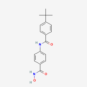 B1665617 Tert-butylbenzamido hydroxylbenzamide CAS No. 847249-57-4