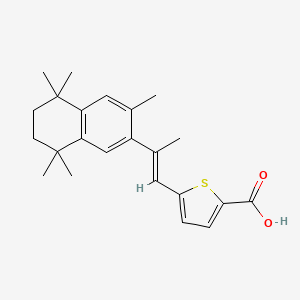 molecular formula C23H28O2S B1665641 (E)-5-(2-(5,6,7,8-四氢-3,5,5,8,8-五甲基-2-萘基)丙烯-1-基)-2-噻吩甲酸 CAS No. 156691-86-0