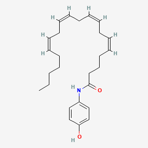 B1665940 (5Z,8Z,11Z,14Z)-N-(4-hydroxyphenyl)icosa-5,8,11,14-tetraenamide CAS No. 183718-77-6
