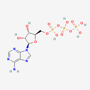 B1666615 Adenosine-5'-triphosphate CAS No. 56-65-5