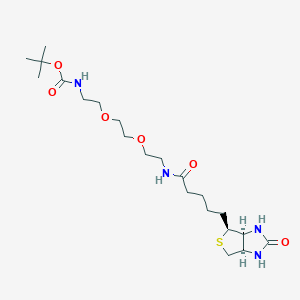 molecular formula C21H38N4O6S B1667288 生物素-PEG2-NH-Boc CAS No. 175885-18-4