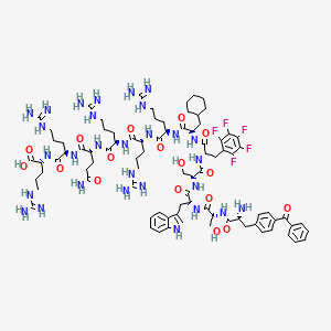 B1668691 Cdc25C phosphatase (211-221) CAS No. 565434-85-7