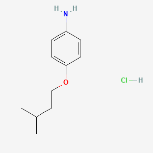 molecular formula C11H18ClNO B1669476 4-(3-甲基丁氧基)苯胺盐酸盐 CAS No. 10141-51-2
