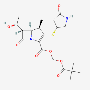 B1669649 2,2-dimethylpropanoyloxymethyl (4R,5S,6S)-6-[(1R)-1-hydroxyethyl]-4-methyl-7-oxo-3-[(3R)-5-oxopyrrolidin-3-yl]sulfanyl-1-azabicyclo[3.2.0]hept-2-ene-2-carboxylate CAS No. 157542-49-9