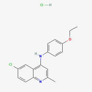 B1669651 6-chloro-N-(4-ethoxyphenyl)-2-methylquinolin-4-amine hydrochloride CAS No. 474084-56-5
