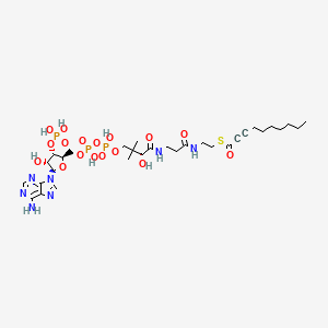 B1669983 Dec-2-ynoyl-coenzyme A CAS No. 105528-05-0