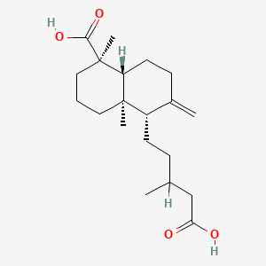 Labda-8(17)-ene-15,19-dioic acid