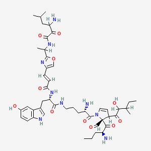 B1670760 3-amino-N-[1-[4-[(E)-3-[[(2S)-1-[[(4S)-4-amino-5-[(2S)-2-[(2S)-2-aminopentanoyl]-2-formyl-3-(2-hydroxy-3-methylpentanoyl)-3H-pyrrol-1-yl]-5-oxopentyl]amino]-3-(5-hydroxy-1H-indol-3-yl)-1-oxopropan-2-yl]amino]-3-oxoprop-1-enyl]-1,3-oxazol-2-yl]ethyl]-5-methyl-2-oxohexanamide CAS No. 155547-93-6