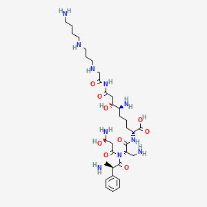 Edeine D