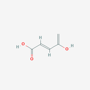 molecular formula C5H6O3 B167117 (2E)-4-hydroxypenta-2,4-dienoic Acid CAS No. 135064-15-2