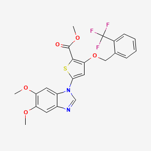 B1672346 methyl 5-(5,6-dimethoxy-1H-benzimidazol-1-yl)-3-[(2-trifluoromethylbenzyl)-oxy]thiophene-2-carboxylate CAS No. 660868-83-7