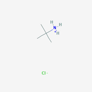 molecular formula C4H12ClN B167375 tert-Butylamine hydrochloride CAS No. 10017-37-5