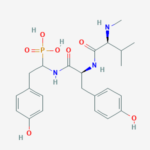 B1674137 [2-(4-hydroxyphenyl)-1-[[(2S)-3-(4-hydroxyphenyl)-2-[[(2S)-3-methyl-2-(methylamino)butanoyl]amino]propanoyl]amino]ethyl]phosphonic acid CAS No. 93768-49-1