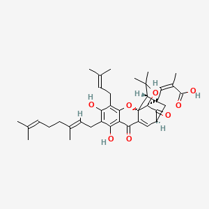 molecular formula C38H46O8 B1674417 藤黄酸 CAS No. 173932-75-7
