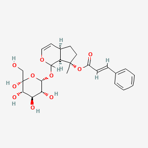 B1674537 [(4aR,7S,7aS)-7-methyl-1-[(2S,3R,4R,5S,6R)-3,4,5,6-tetrahydroxy-6-(hydroxymethyl)oxan-2-yl]oxy-4a,5,6,7a-tetrahydro-1H-cyclopenta[c]pyran-7-yl] (E)-3-phenylprop-2-enoate CAS No. 70206-27-8
