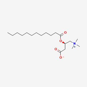 molecular formula C19H37NO4 B1674569 月桂酰肉碱 CAS No. 25518-54-1