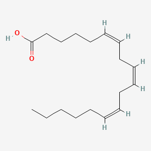 B1674613 gamma-Linolenic acid CAS No. 506-26-3