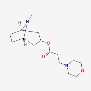 B1674907 (5-Nitroisoquinolin-1-yl)methylene-N-hydroxy-N'-aminoguanidine CAS No. 74143-01-4