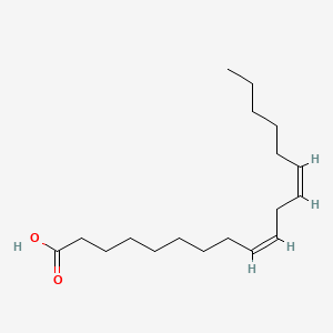 B1675490 Linoleic acid CAS No. 60-33-3