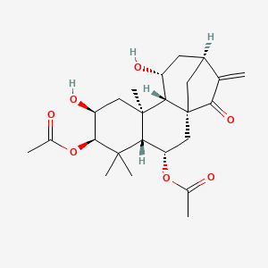 molecular formula C24H34O7 B1675516 Lushanrubescensin E CAS No. 114020-54-1
