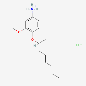 B1676024 m-ANISIDINE, 4-((1-METHYLHEPTYL)OXY)-, HYDROCHLORIDE CAS No. 15382-67-9