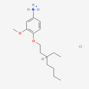 B1676026 m-ANISIDINE, 4-((3-ETHYLHEPTYL)OXY)-, HYDROCHLORIDE CAS No. 15382-68-0