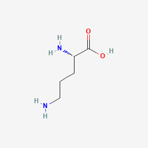molecular formula C5H12N2O2 B1677492 L-鸟氨酸 CAS No. 70-26-8
