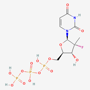 B1678264 Dihydroxyphosphoryl (((2R,3R,4R,5R)-5-(2,4-dioxopyrimidin-1-yl)-4-fluoro-3-hydroxy-4-methyl-tetrahydrofuran-2-yl)methoxy-hydroxy-phosphoryl) hydrogen phosphate CAS No. 1015073-42-3