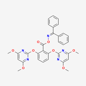 B1679939 Pyribenzoxim CAS No. 168088-61-7