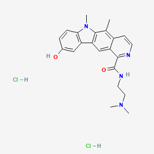 B1680374 6H-Pyrido(4,3-b)carbazole-1-carboxamide, N-(2-(dimethylamino)ethyl)-9-hydroxy-5,6-dimethyl-, dihydrochloride CAS No. 178169-99-8