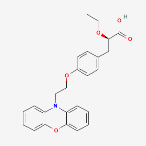 molecular formula C25H25NO5 B1680504 (-)-3-(4-(2-(Phenoxazin-10-yl)ethoxy)phenyl)-2-ethoxypropanoic acid CAS No. 222834-30-2