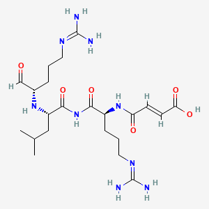B1680654 (E)-4-[[(2S)-5-(diaminomethylideneamino)-1-[[(2S)-2-[[(2S)-5-(diaminomethylideneamino)-1-oxopentan-2-yl]amino]-4-methylpentanoyl]amino]-1-oxopentan-2-yl]amino]-4-oxobut-2-enoic acid CAS No. 141426-89-3