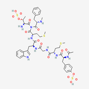 B1680665 [4-[(2S)-2-acetamido-3-[[(2S)-1-[[2-[[(2S)-1-[[(2S)-1-[[(2S,3R)-2-amino-3-sulfooxybutanoyl]-[(2S)-2-(methylamino)-3-phenylpropanoyl]amino]-4-methylsulfanyl-1-oxobutan-2-yl]amino]-3-(1H-indol-3-yl)-1-oxopropan-2-yl]amino]-2-oxoethyl]amino]-4-methylsulfanyl-1-oxobutan-2-yl]amino]-3-oxopropyl]phenyl] hydrogen sulfate CAS No. 113714-78-6