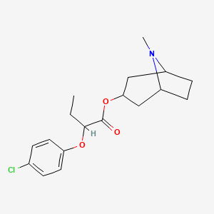 B1681019 (8-Methyl-8-azabicyclo[3.2.1]octan-3-yl) 2-(4-chlorophenoxy)butanoate CAS No. 155058-71-2