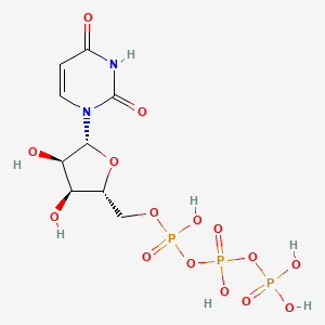 molecular formula C9H15N2O15P3 B1682116 尿苷 5'-三磷酸 CAS No. 63-39-8