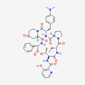 molecular formula C45H54N8O10 B1682496 微卡菌素 B CAS No. 3131-03-1
