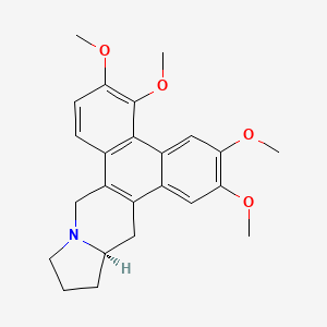 B1682565 Tylocrebrine CAS No. 6879-02-3