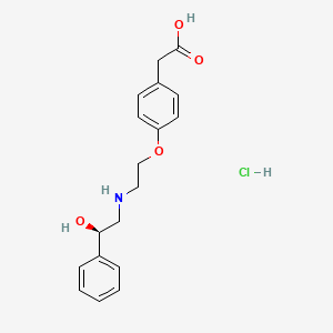 B1682585 Talibegron hydrochloride CAS No. 178600-17-4