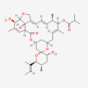 molecular formula C38H54O10 B1683385 [(3'R,4S,5'S,6S,6'S,8R,10E,13S,14E,16E,20R,21R,24S)-6'-[(E)-But-2-en-2-yl]-3',21,24-trihydroxy-5',11,13,22-tetramethyl-2-oxospiro[3,7,19-trioxatetracyclo[15.6.1.14,8.020,24]pentacosa-10,14,16,22-tetraene-6,2'-oxane]-12-yl] 2-methylpropanoate CAS No. 127346-82-1