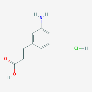 molecular formula C9H12ClNO2 B168895 3-(3-氨基苯基)丙酸盐酸盐 CAS No. 102879-44-7