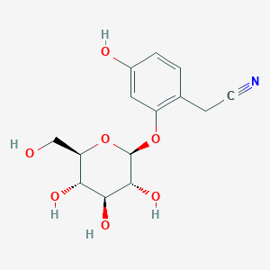 molecular formula C14H17NO7 B169225 Ehretioside B CAS No. 156368-84-2