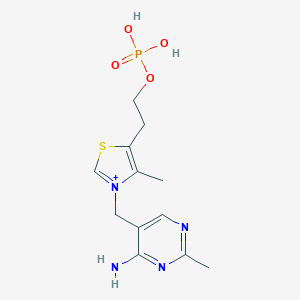 molecular formula C12H17N4O4PS B169284 Thiamine monophosphate CAS No. 10023-48-0