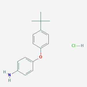molecular formula C16H20ClNO B171770 4-[4-(叔丁基)苯氧基]苯胺盐酸盐 CAS No. 10254-86-1