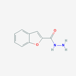 molecular formula C9H8N2O2 B171906 1-Benzofuran-2-carbohydrazide CAS No. 5545-86-8